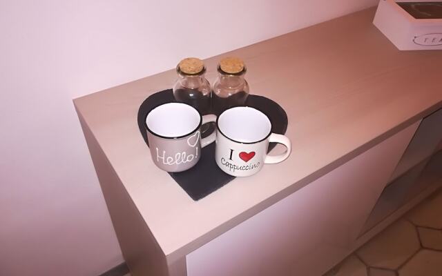 B&B T
