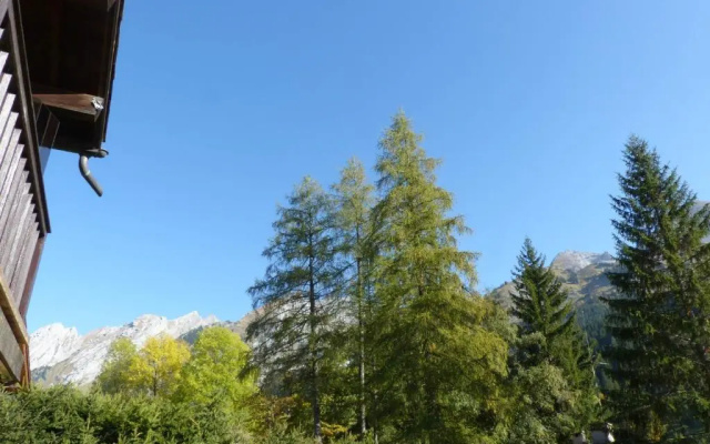Appartement La Clusaz, 2 pièces, 4 personnes - FR-1-437-68