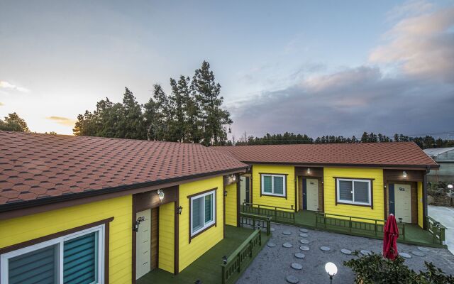 Brassica Flower Pension