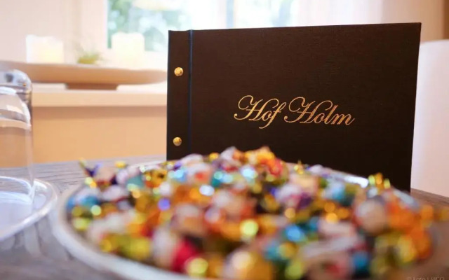 Hotel Hof Holm
