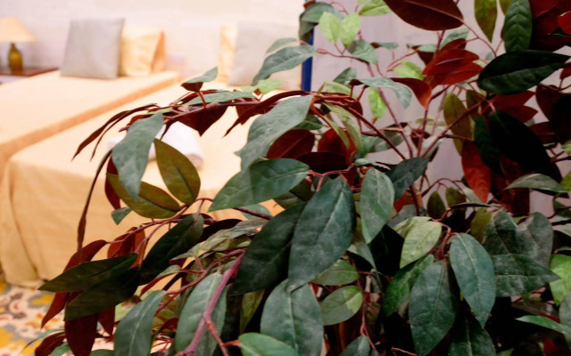 Lee's House Bed & Breakfast Sliema