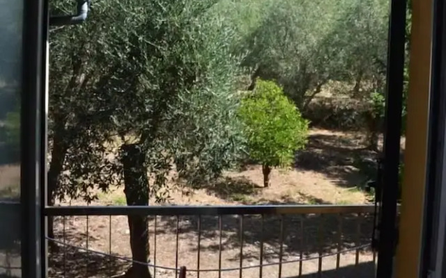 A Stone's Throw From the sea