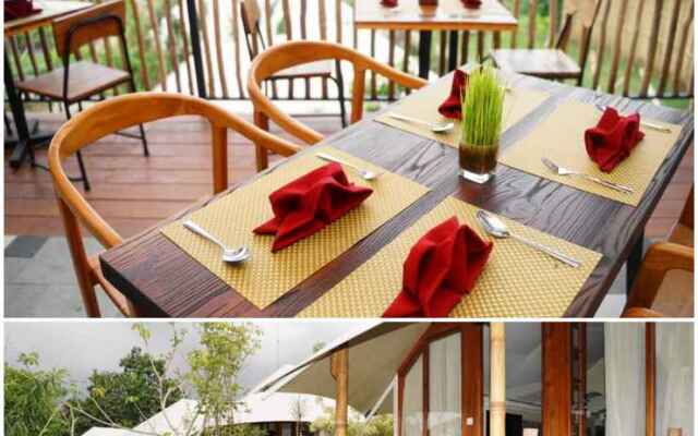 Oak Tree Glamping Resort