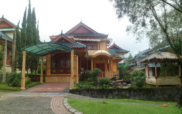 Kota Bunga BB