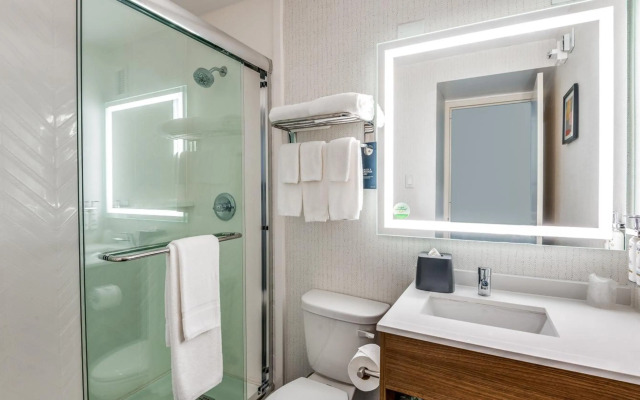 Holiday Inn Dallas Market Ctr Love Field by IHG