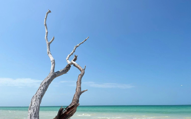 Casa en primera linea de playa con alberca