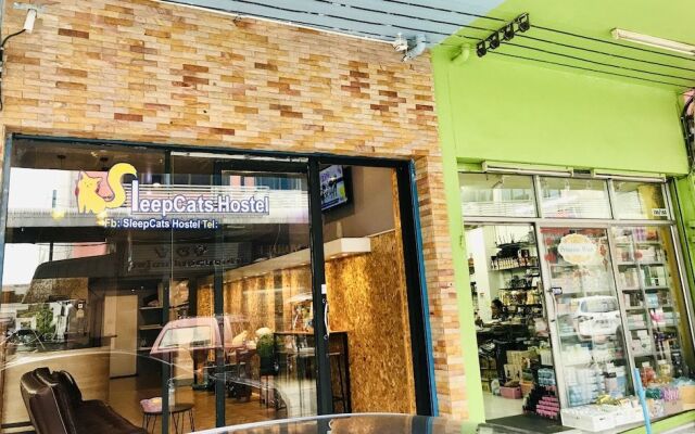 SleepCats Hostel