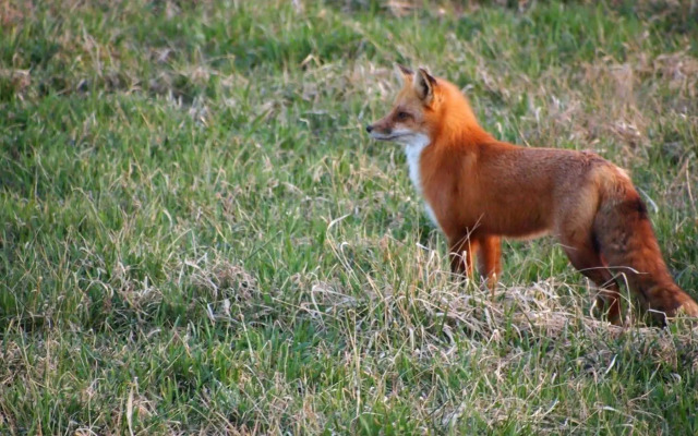 Our Valley View Bed & Breakfast