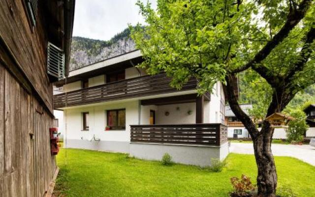 W & S Executive Apartments - Hallstatt I