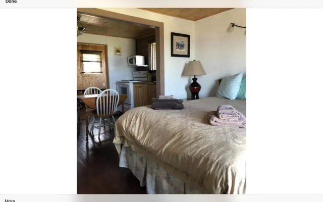 Bird Island B&B