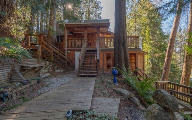 The Tree House Cottage