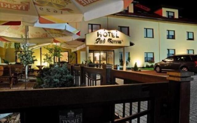 Hotel Pod Borem