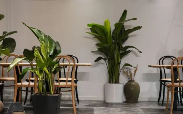 Huaniao Island Baike Sansu Hotel