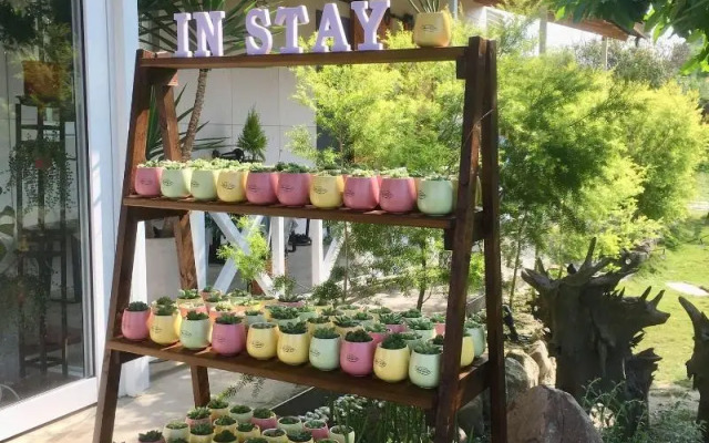 Instay