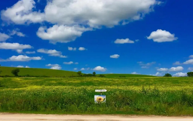 Il Girasole Terzuolo