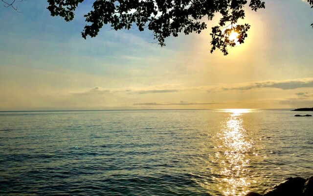 Daintree Manor Bed & Breakfast