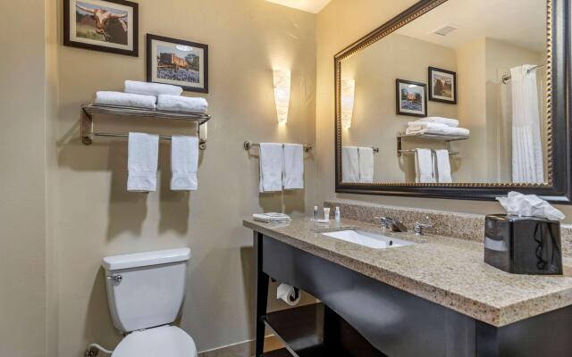 Comfort Suites Buda - Austin South