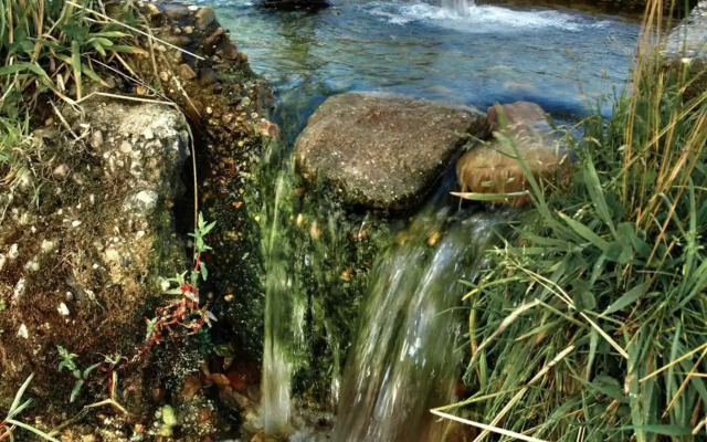 Señorío de Los Bazán