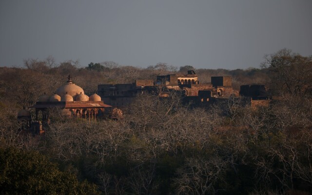 Sawai Shivir Ranthambore by TUTC