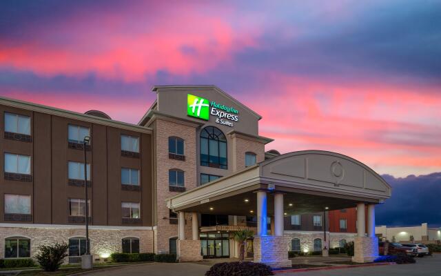 Holiday Inn Express & Suites Dallas East - Fair Park, an IHG Hotel