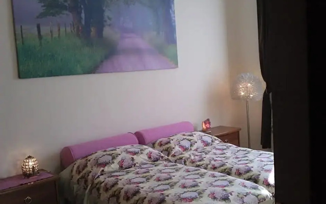 Le Ortensie di Via Rossetti