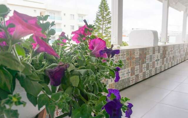 Sonia's Angel House 300 Meters From The Beach, Newly Renovate Central Apartment By Ezoria Holiday Rentals