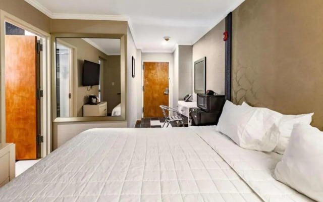 Umbrella Hotel Brooklyn
