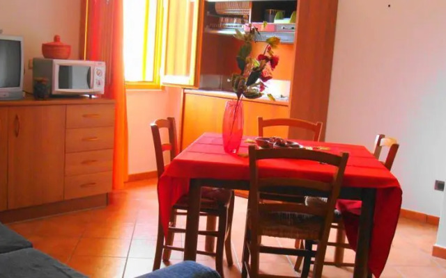 Le Palme di Conturrana Tropicale