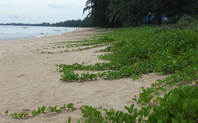 At My Home Resort Bangsaphan