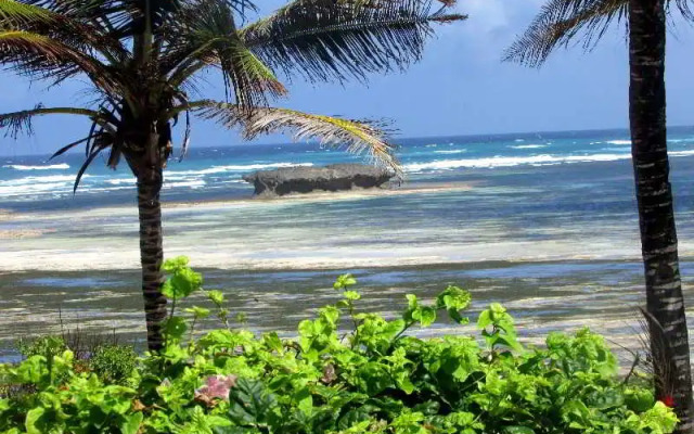Aquarius Beach Resort