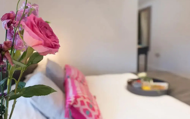 Papillon in Southwold