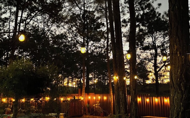 Pine Scape Lodge | Jacuzzi | BBQ | Pool | Mango Hosting