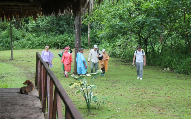 Tropical Adventures & Expeditions