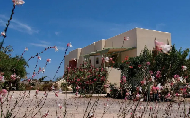 Flower and Crafts - Eco Farm Houses