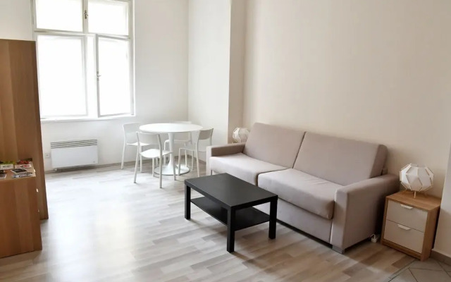 Apartments Mitte