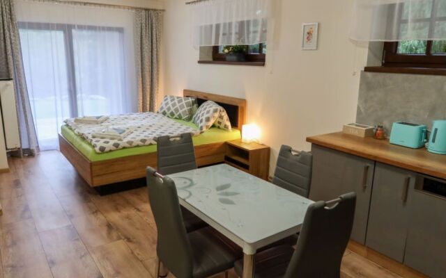 Apartment  Harrachov