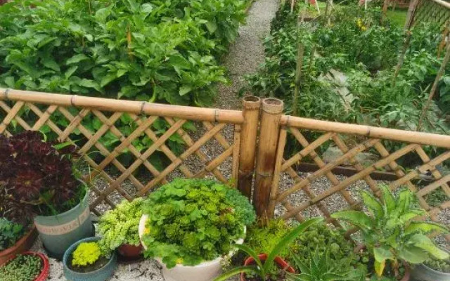 QinShiYue Homestay