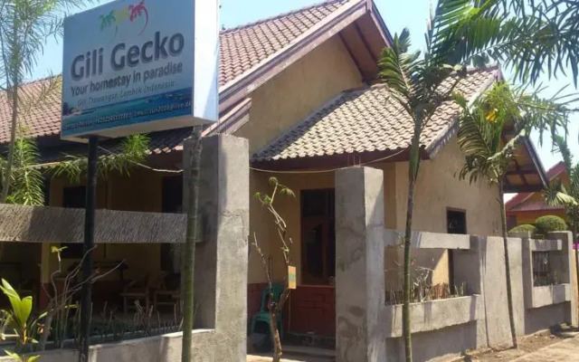 Gili Gecko