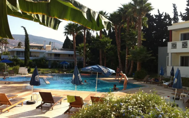 Olga's Paradise