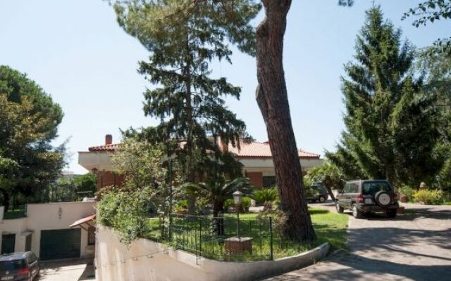Mons Aureus Resort