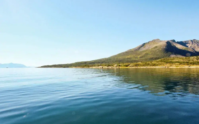 7 Person Holiday Home in Stonglandseidet