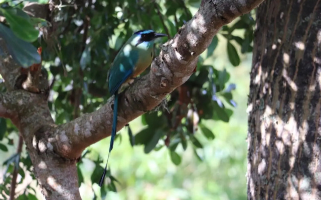 Casa Ceiba de Mirabel-Barichara