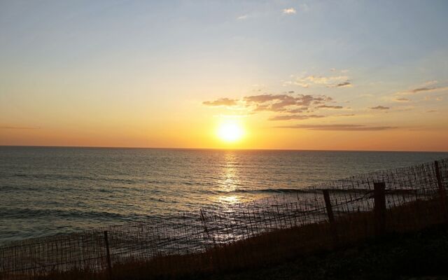 Blue Buddha Beach Rooms & Suites