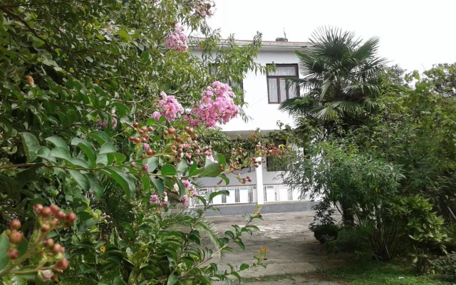 Avto House
