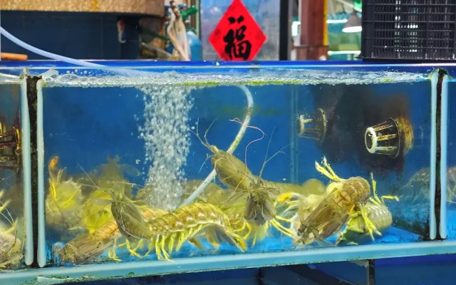 Grade Hotel Shenzhen Shekou Sea World