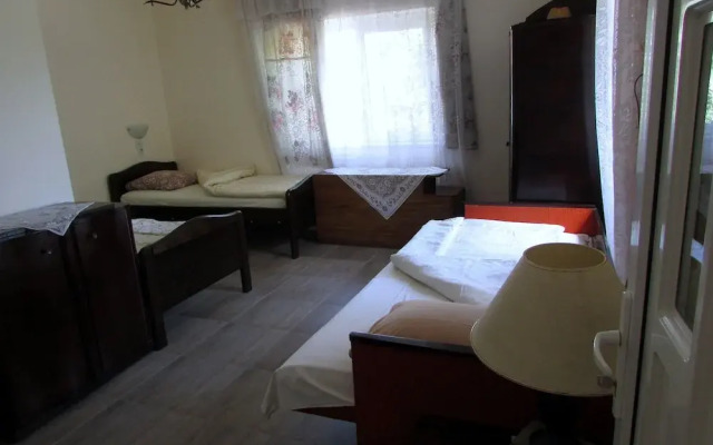 BIO Pension - BIO Panzio - Pensiunea BIO