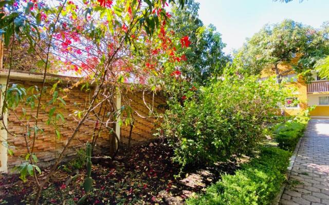 Suite Única Renovada Céntrica Av Zaragoza C14