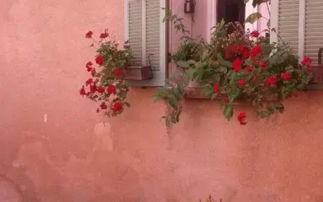 Le petit nid de Zaou