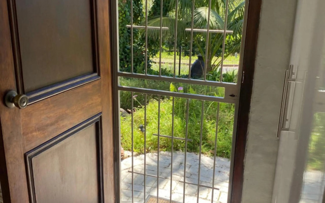 Little fern self catering