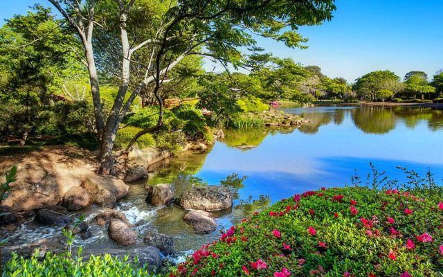 Econo Lodge near the Blue Ridge Parkway I-77